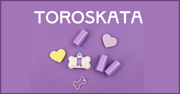 Toroskata Polyonom Link Image