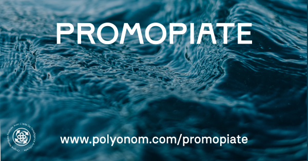 Promopiate Polyonom Link Image